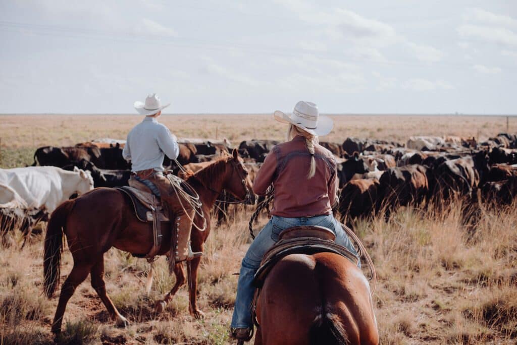 Thomas Enoff Texas Cattle Ranching